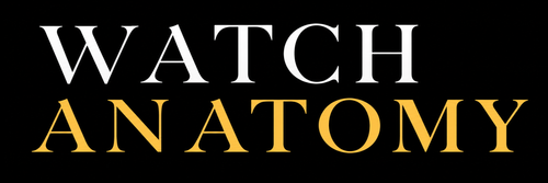 Watch Anatomy